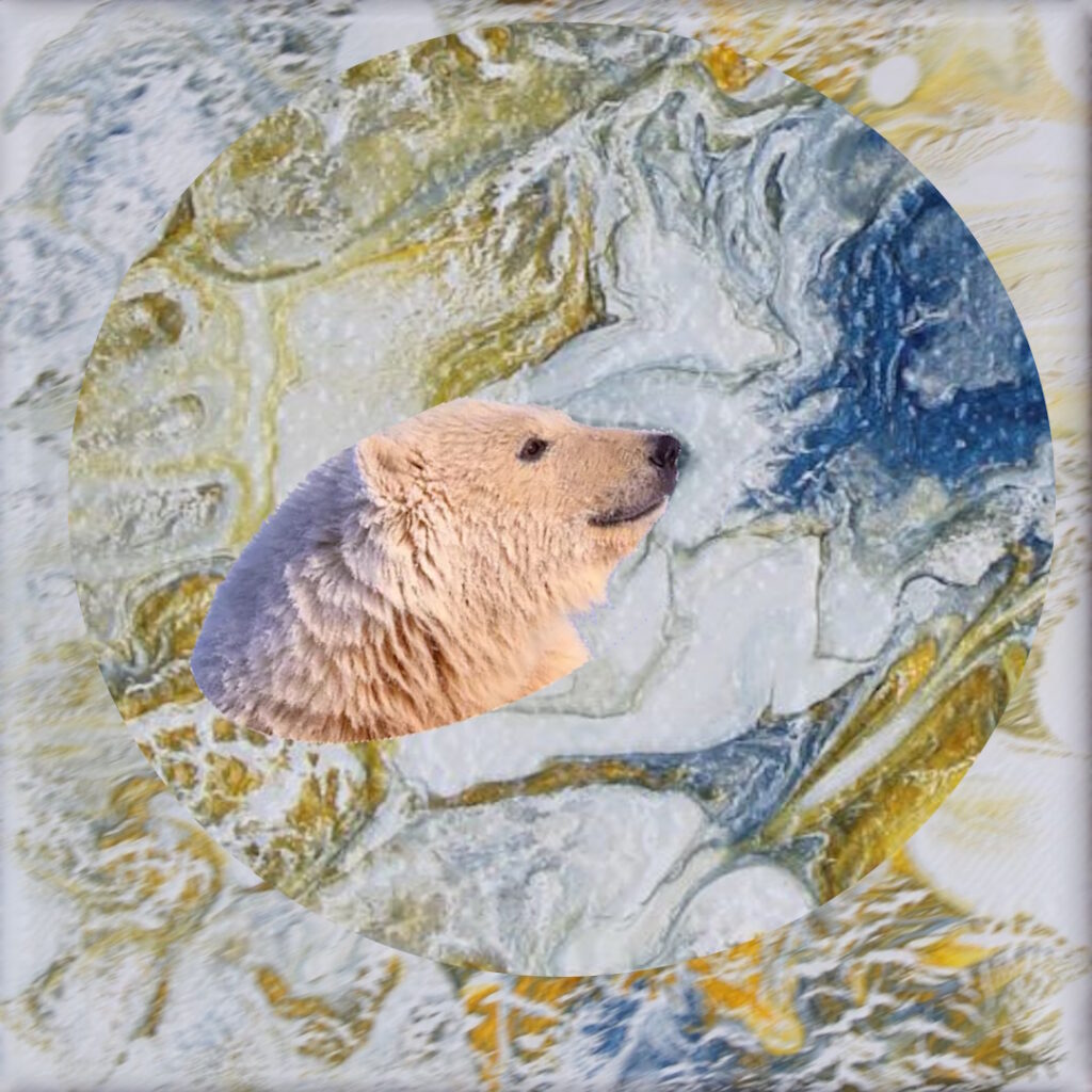 sieht aus wie ein schlafender Eisbär